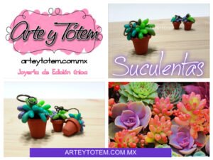Suculentas moradas y azules que inspiraron las piezas de OH! ROSIE
